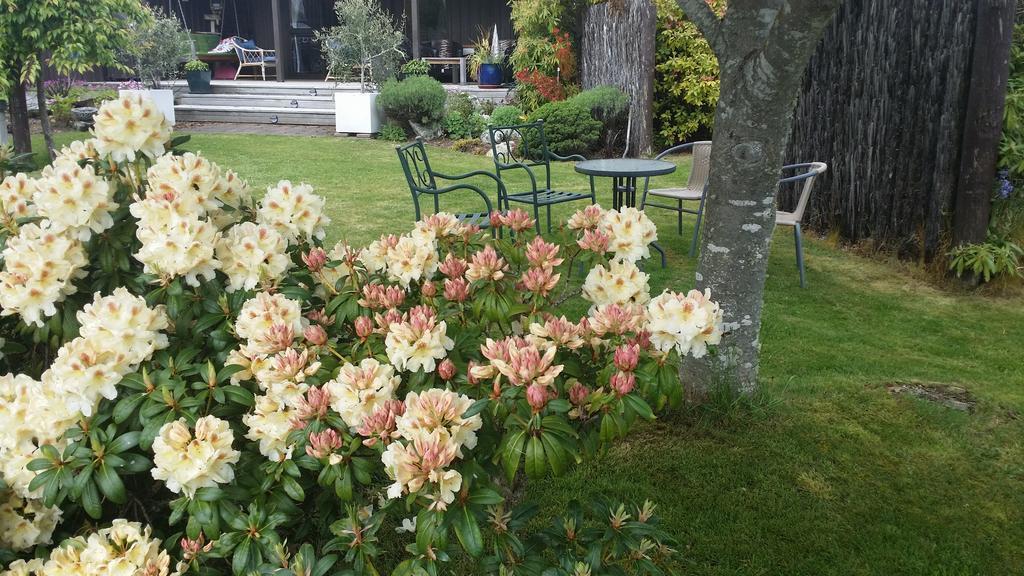 Alpine Rock B&B Te Anau Eksteriør billede